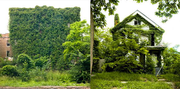 detroit feral houses